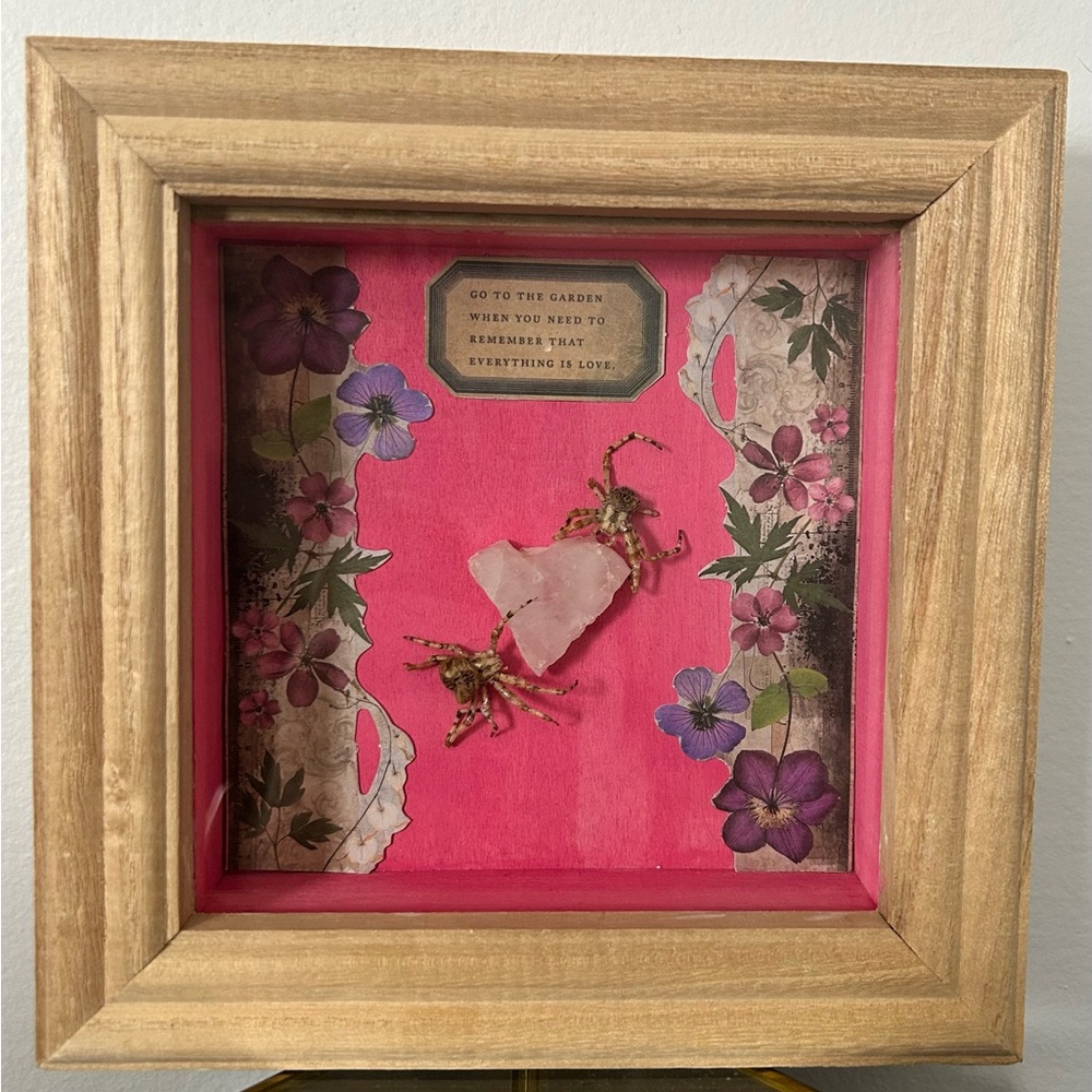 “The Lovers” - REAL Taxidermy Art - CatFaced Orb Weavers